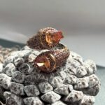 Безрозмірна кабулчка з цитрином. - Зображення 2